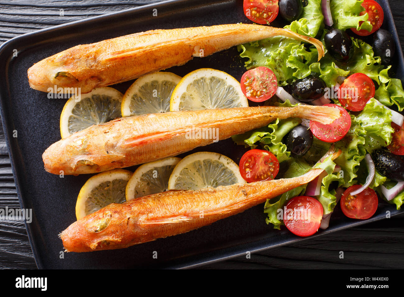 Saltwater (Marine) Fish